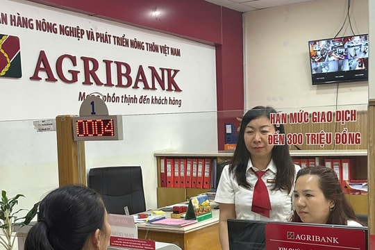Khách hàng thoát bẫy lừa đảo nhờ cán bộ Agribank Chi nhánh Bình Thạnh