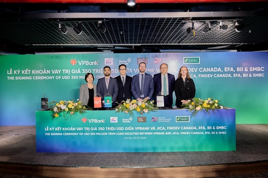 BII cam kết cho VPBank vay 50 triệu USD hỗ trợ chuyển đổi năng lượng xanh tại Việt Nam