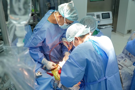 Bệnh viện Quân y 175 chạy đua ghép gan cấp cứu trong thời gian vàng