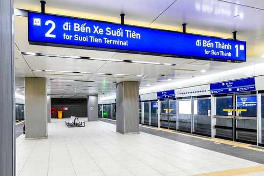 TP.HCM cần chiến lược giao thông xanh toàn diện và bao trùm