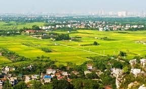 TP.HCM giao thẩm quyền lập quy hoạch đô thị, nông thôn cho cấp xã