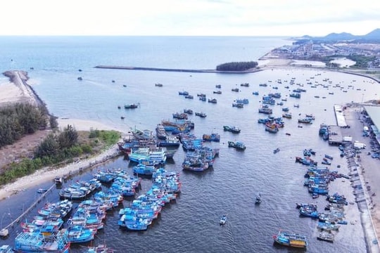 TP.HCM thực hiện tháng cao điểm chống khai thác thủy sản bất hợp pháp