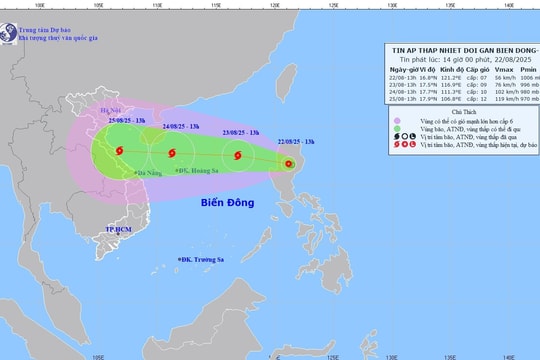 TP.HCM chủ động ứng phó áp thấp nhiệt đới có khả năng mạnh lên thành bão