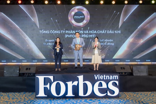 Phú Mỹ - PVFCCo đạt danh hiệu Top 50 công ty niêm yết tốt nhất và Top 25 Thương hiệu dẫn đầu Việt Nam năm 2025