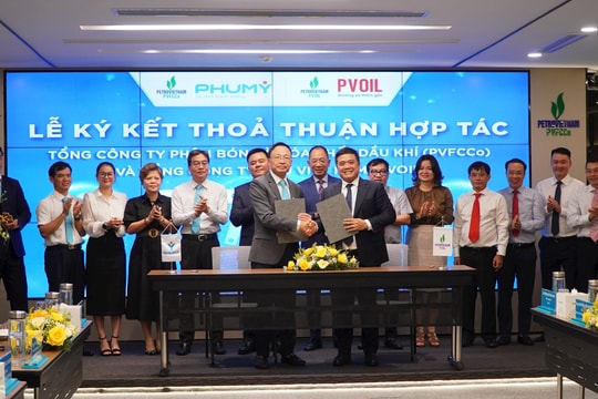 DEF - Phú Mỹ Xanh, giải pháp xử lý khí thải cho động cơ diesel an toàn, hiệu quả