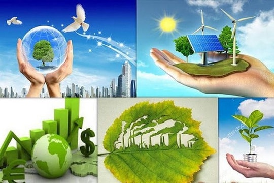 TP.HCM đẩy mạnh tuyên truyền bảo vệ môi trường, thúc đẩy chuyển đổi xanh vì phát triển bền vững