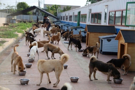 Xây dựng nông thôn mới: Không chỉ ở hạ tầng mà còn là xây dựng giá trị nhân văn