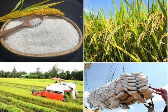 Nông nghiệp xanh cho tương lai bền vững và an ninh lương thực quốc gia
