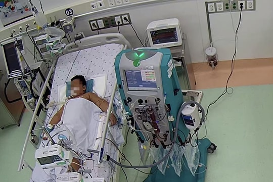 Bệnh nhi suy đa cơ quan do sốt xuất huyết nặng có hội chứng thực bào máu