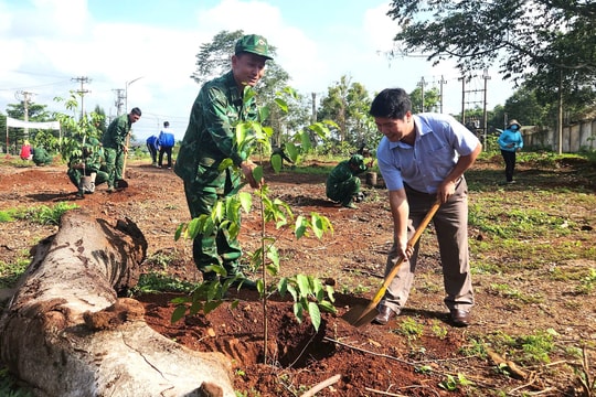BĐBP tỉnh Lâm Đồng tăng gia sản xuất, cải thiện hiệu quả đời sống cho bộ đội