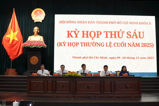 TP.HCM trình phương án xây 3 cầu lớn Cát Lái, Phú Mỹ 2 và Long Hưng