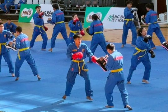 TP.HCM xác lập 'kỷ lục kép' đồng diễn võ nhạc Vovinam