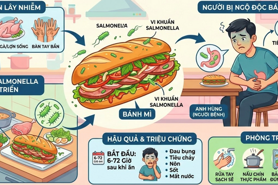 Vụ ngộ độc bánh mì: Hơn 50% mẫu bệnh nhân dương tính với vi khuẩn Salmonella