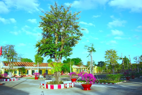 Hiệu quả từ tăng gia sản xuất ở Đồn biên phòng Đắk Ơ