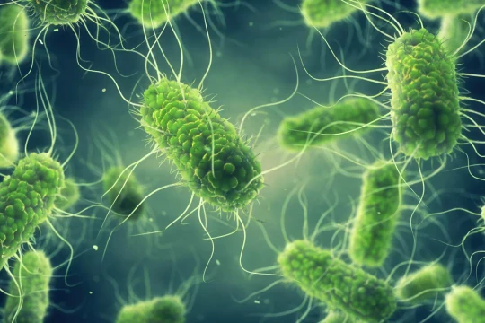 Xác định tác nhân gây ngộ độc thực phẩm tại trường tiểu học Bình Quới Tây