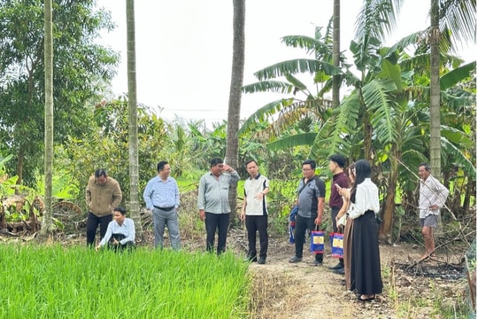 Sở hữu trí tuệ giúp nâng tầm giá trị nông sản địa phương