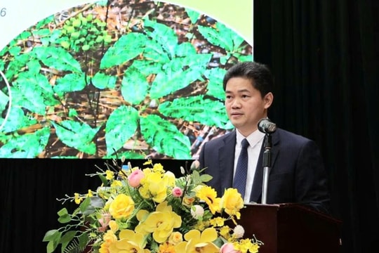 Tìm lời giải đưa dược liệu thành ngành kinh tế xanh, vươn tầm quốc tế