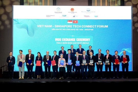 ĐHQG TP.HCM ký kết hợp tác chiến lược với ĐHQG Singapore