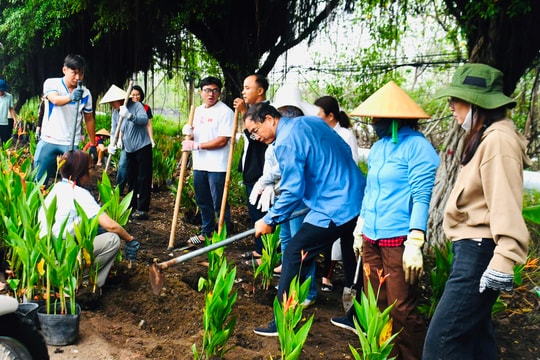 Trồng 3.500 cây hoa thiên điểu chào mừng kỷ niệm 50 năm Ngày thành phố Sài Gòn- Gia Định chính thức mang tên Chủ tịch Hồ Chí Minh