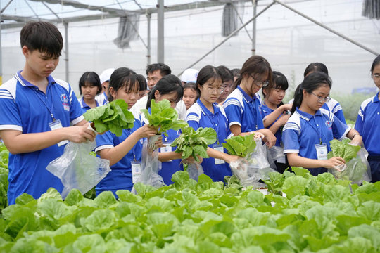 100 học sinh khám phá nghề truyền thống và nông nghiệp công nghệ cao