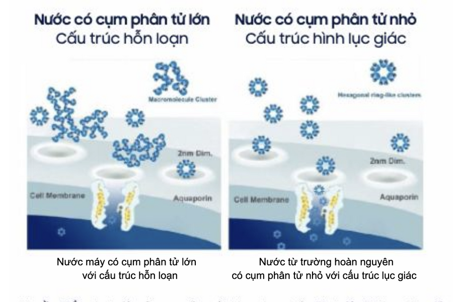 Nước từ trường hoàn nguyên: Kỳ vọng từ y học tới nông nghiệp, công nghiệp nặng và xây dựng