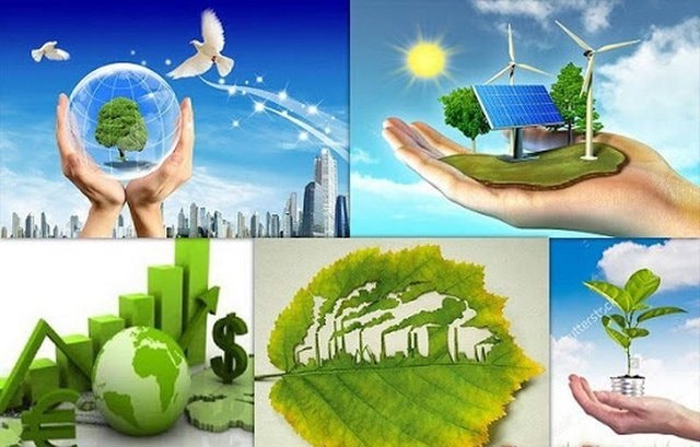 TP.HCM đẩy mạnh tuyên truyền bảo vệ môi trường, thúc đẩy chuyển đổi xanh vì phát triển bền vững