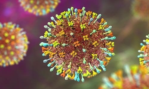 Virus Nipah khó có khả năng gây đại dịch như COVID-19