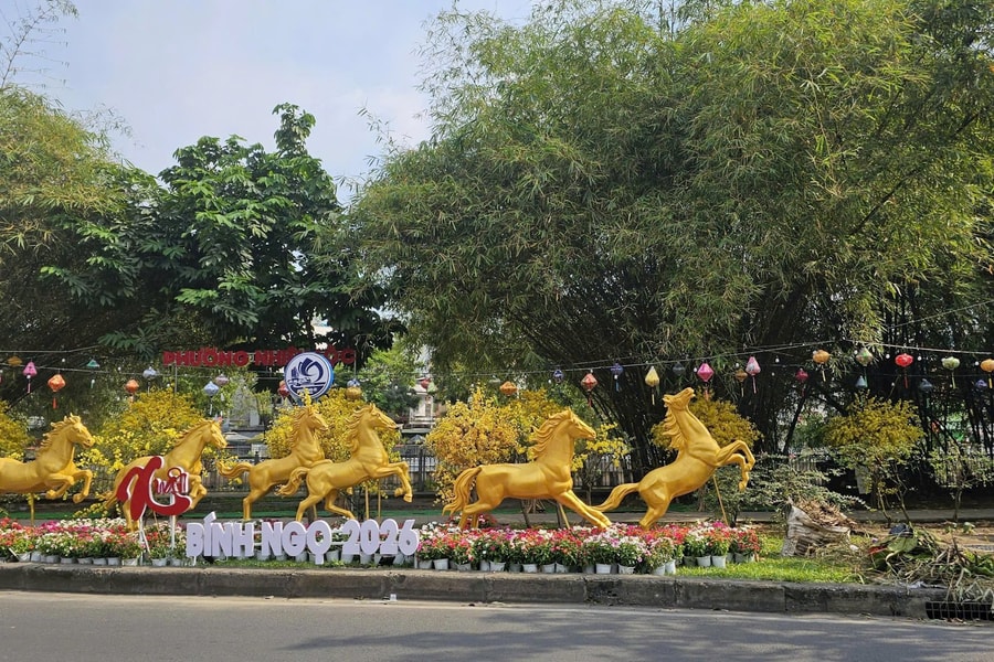 Phường Nhiêu Lộc đẩy mạnh hoạt động trang trí Tết và chăm lo an sinh xã hội dịp Xuân Bính Ngọ 2026