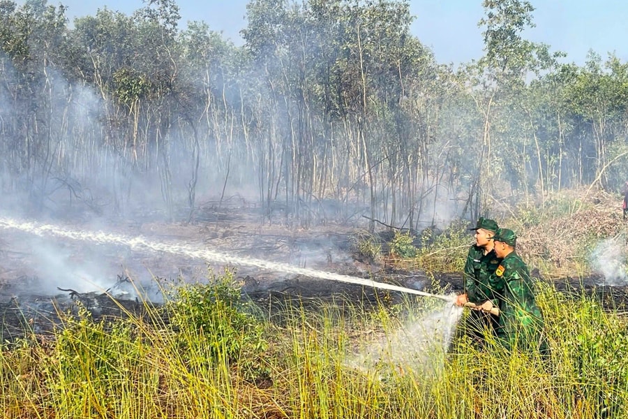 Đồn Biên phòng Mỹ Thạnh Tây (Tây Ninh) kịp thời tham gia chữa cháy rừng