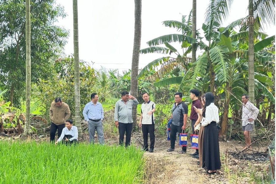 Sở hữu trí tuệ giúp nâng tầm giá trị nông sản địa phương