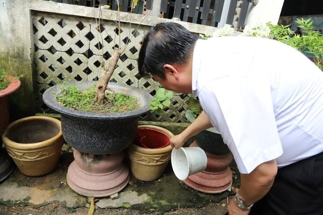 Đầu năm 2026 đến nay: Việt Nam ghi nhận hơn 50.000 ca sốt xuất huyết